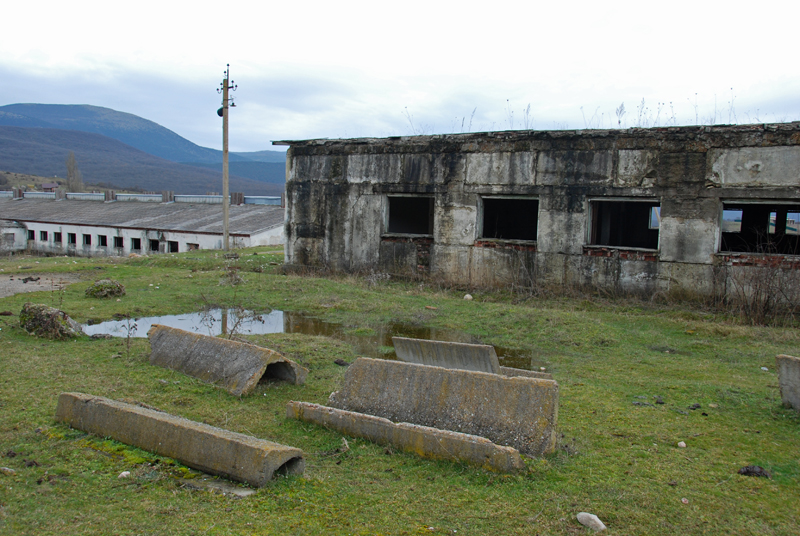 DSC_7805.jpg