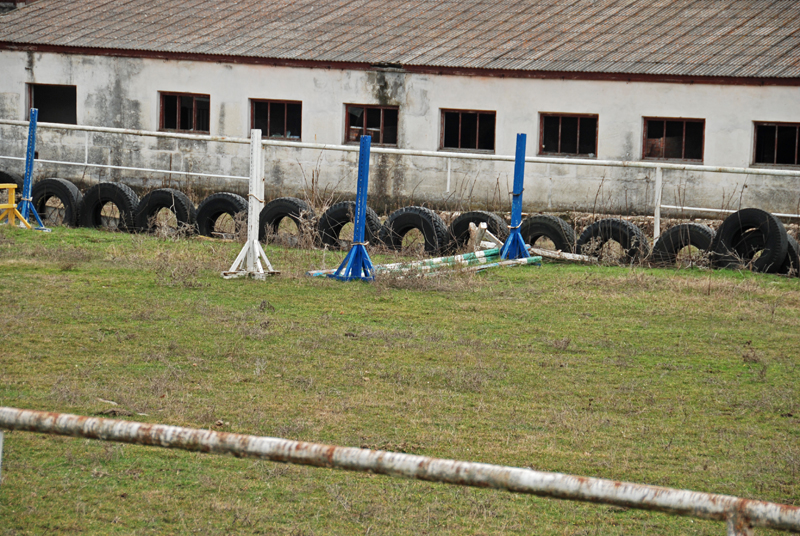 DSC_7820.jpg