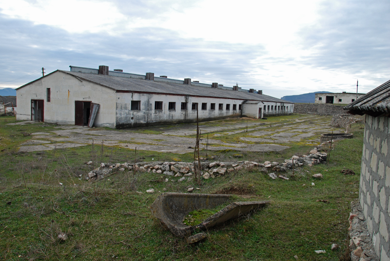 DSC_7827.jpg