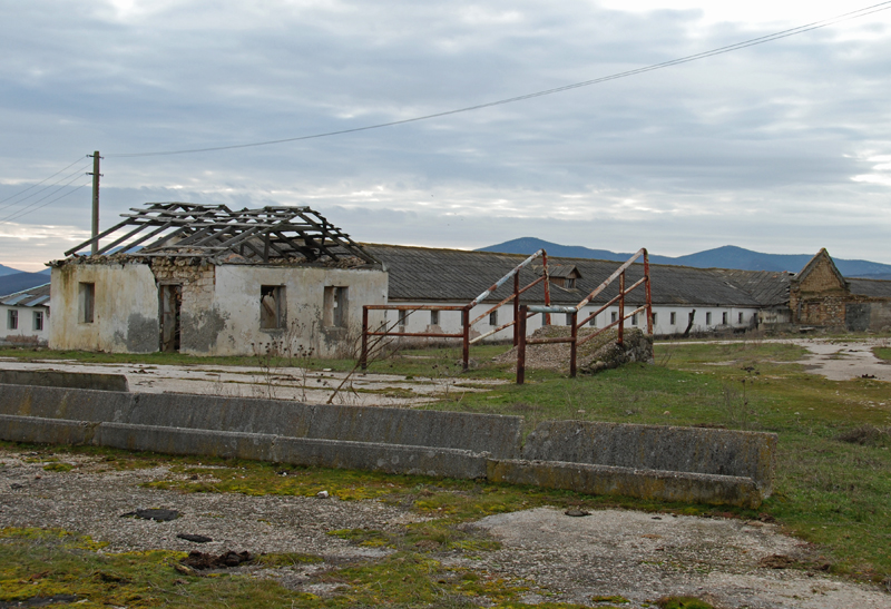 DSC_7830.jpg
