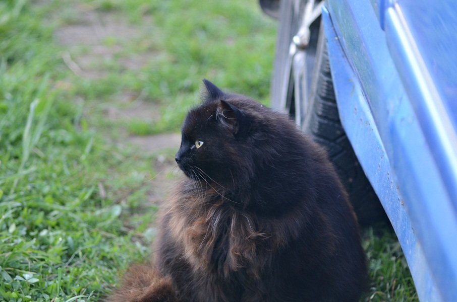 DSC_7955.JPG