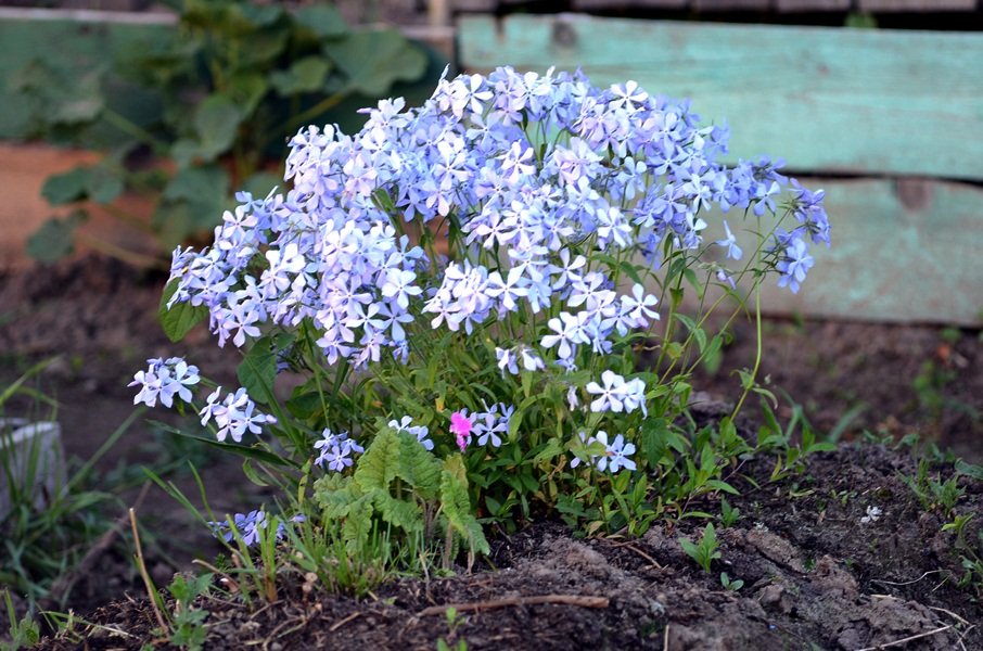 DSC_8057.JPG