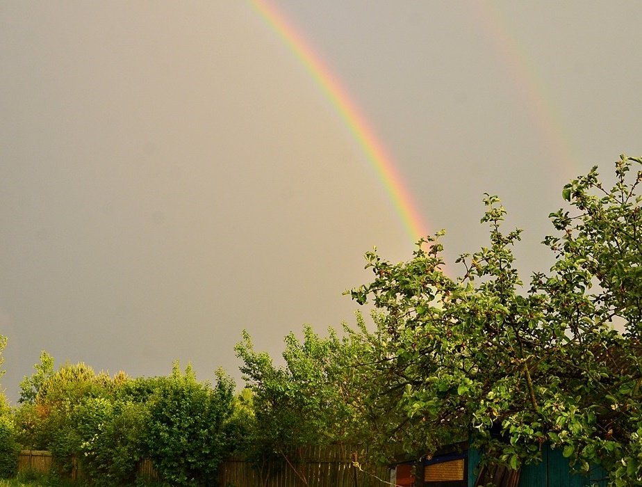 DSC_8172.JPG