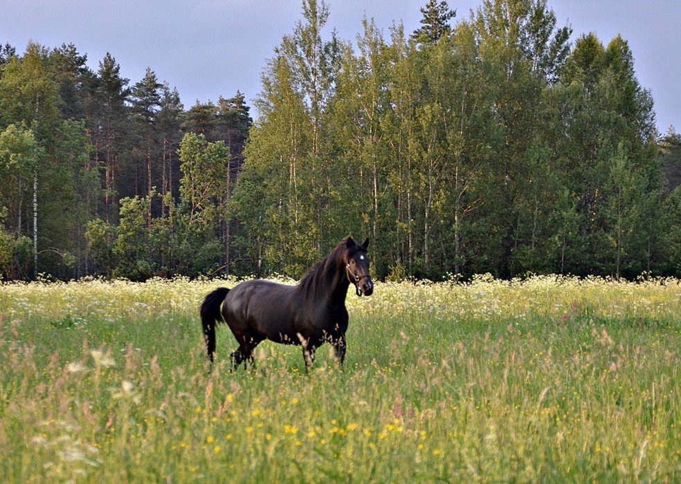 DSC_8431.JPG
