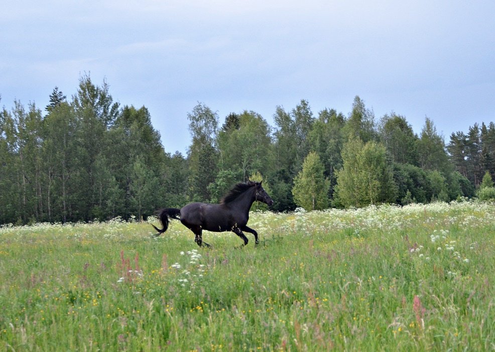 DSC_8479.JPG