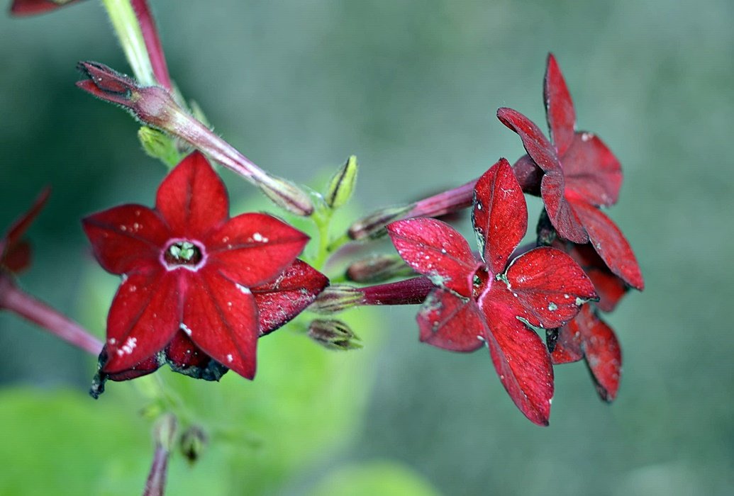 DSC_8497.JPG