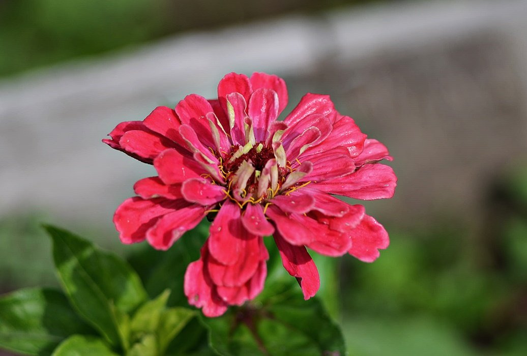 DSC_8512.JPG
