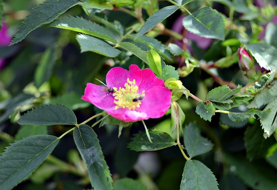DSC_8539.JPG