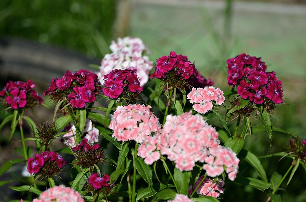 DSC_8564.JPG