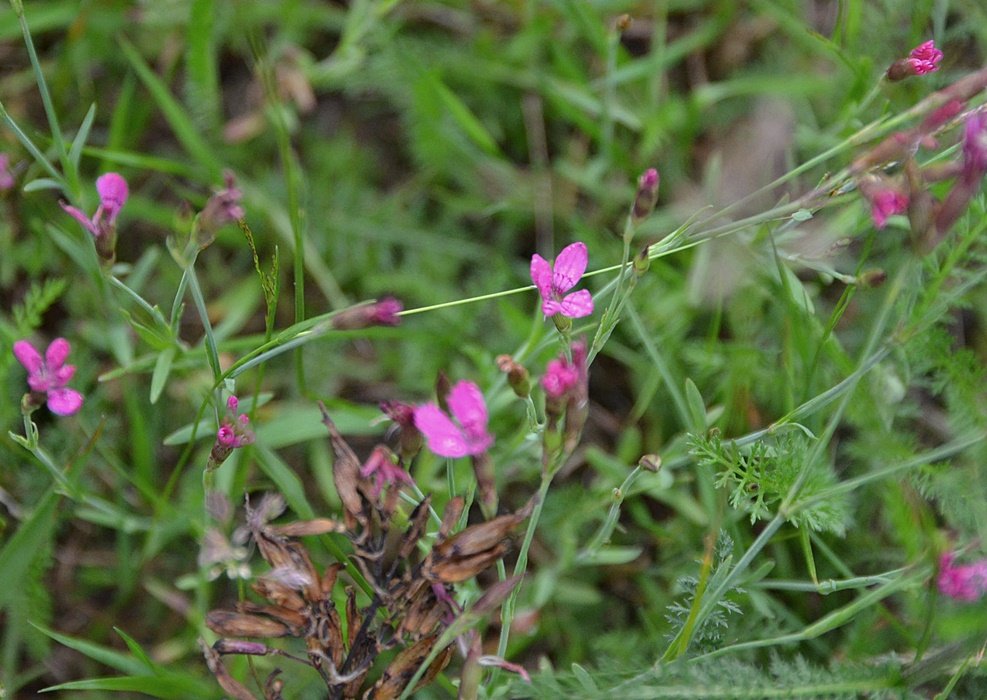 DSC_8715.JPG