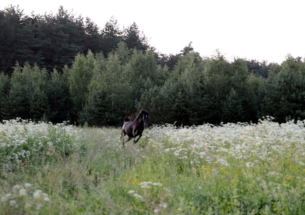 DSC_8922.JPG