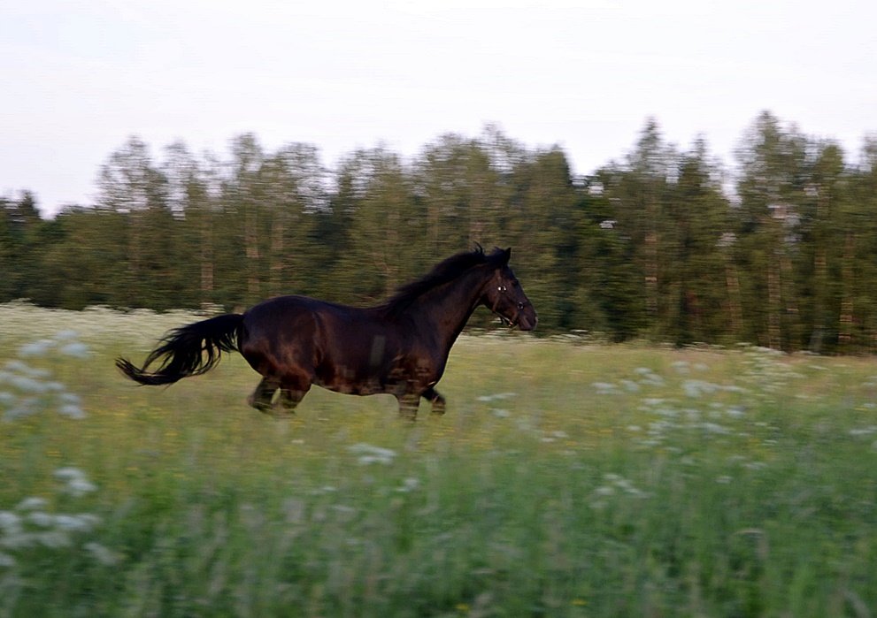 DSC_8935.JPG