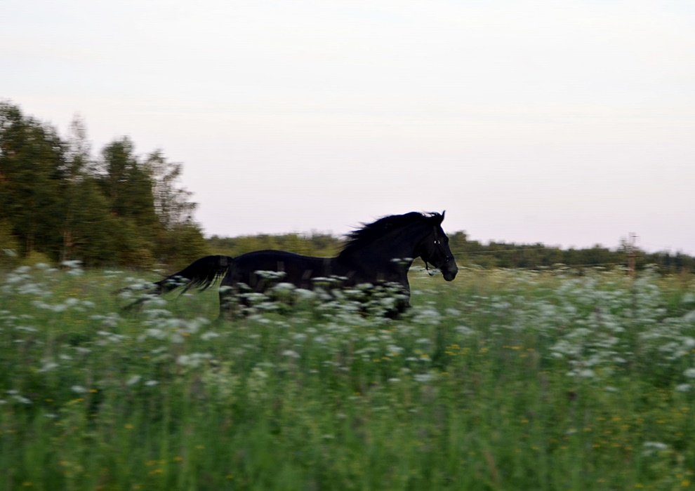 DSC_8937.JPG