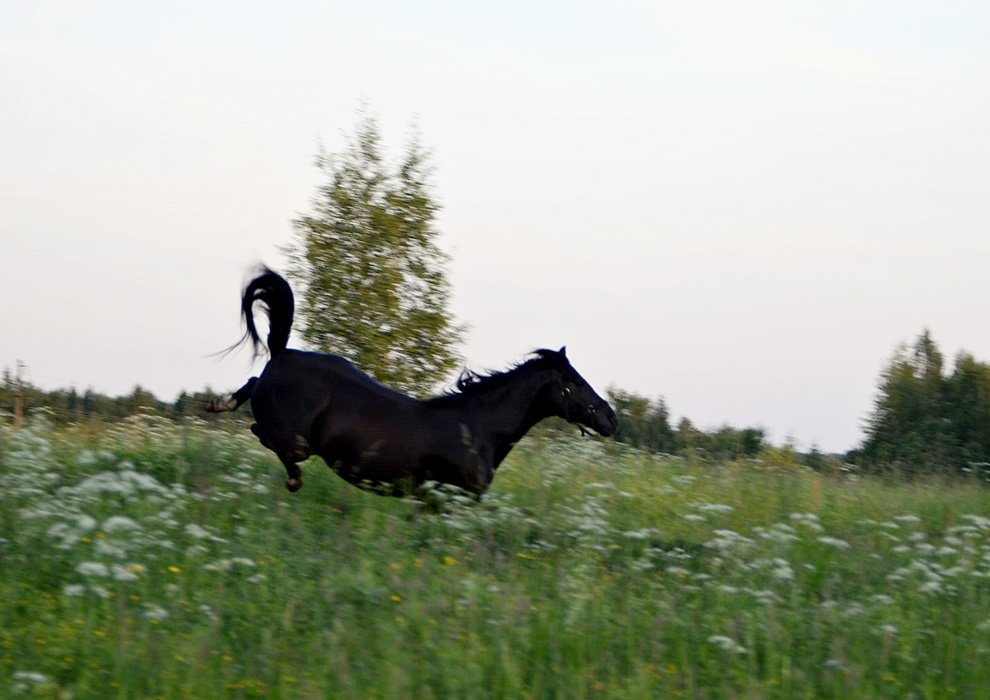 DSC_8938.JPG