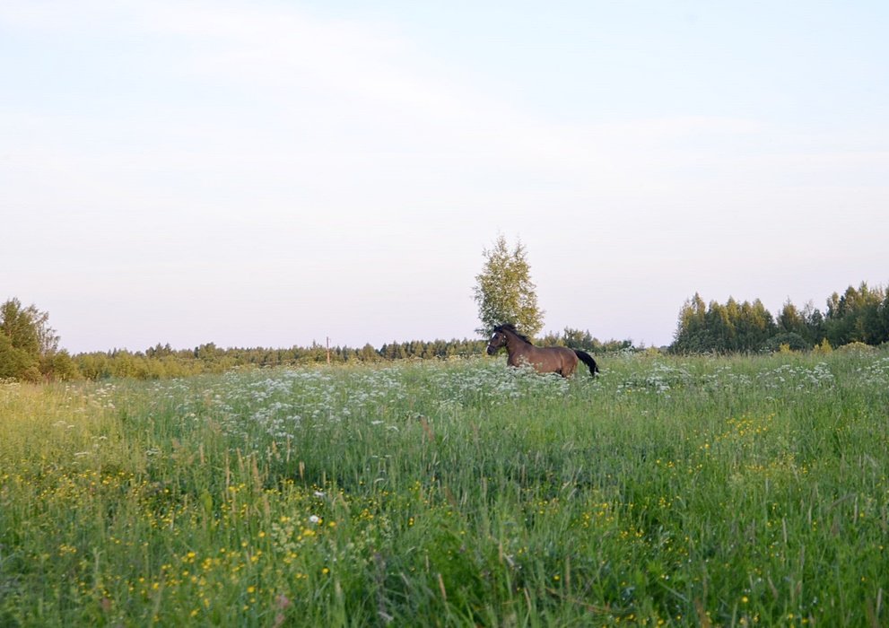 DSC_8976.JPG