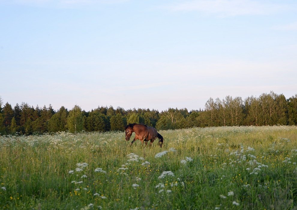 DSC_8982.JPG