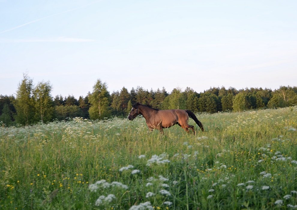 DSC_8986.JPG