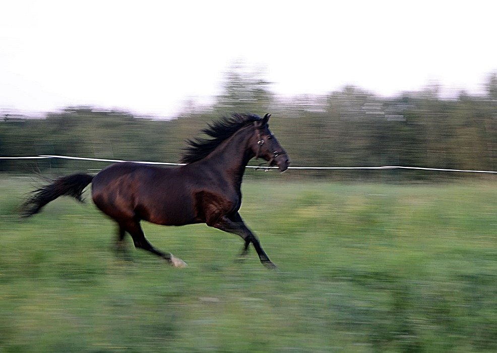 DSC_9030.JPG