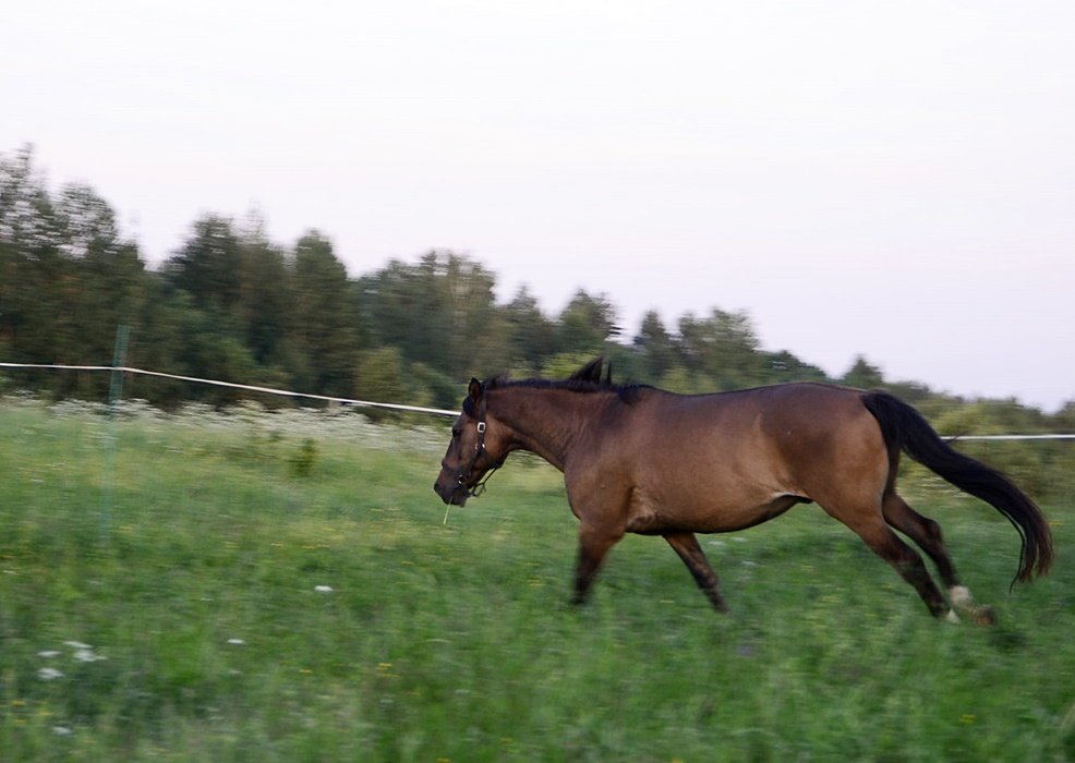 DSC_9035.JPG