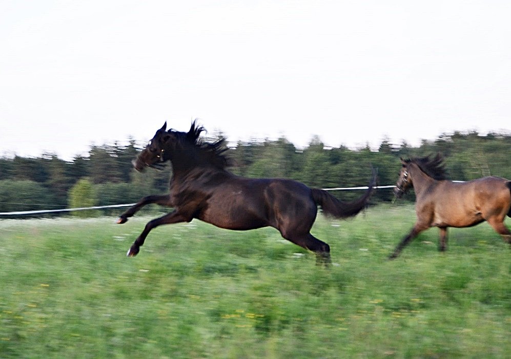 DSC_9043.JPG