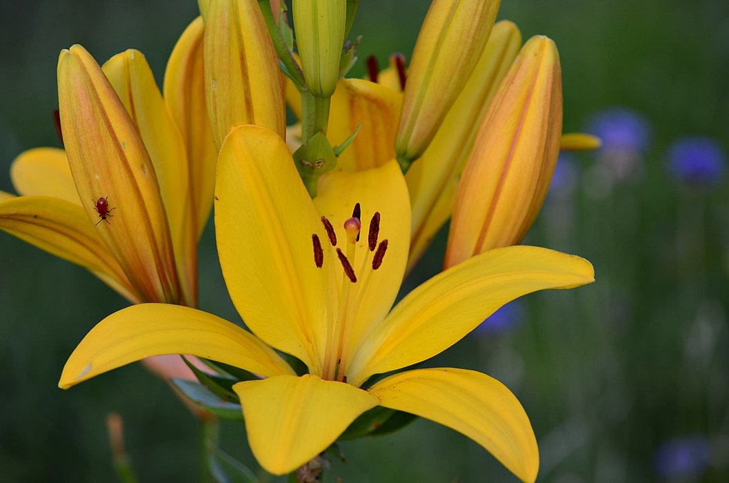 DSC_9106.JPG