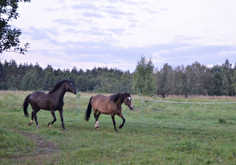 DSC_9169.JPG