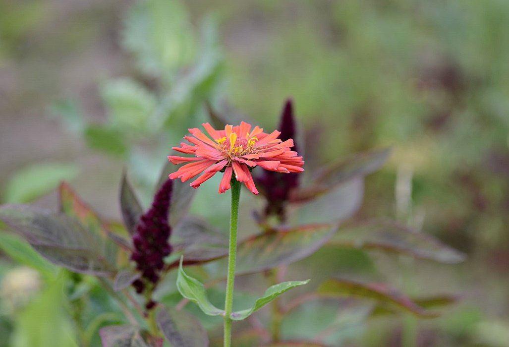 DSC_9194.JPG