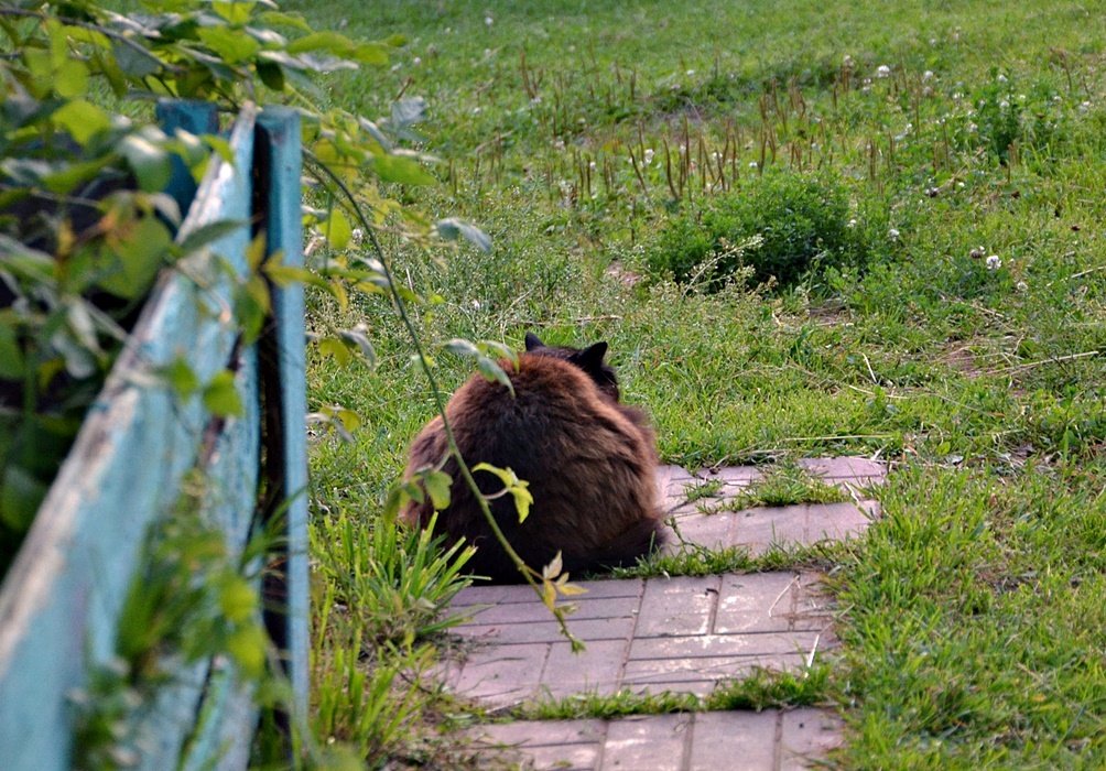 DSC_9258.JPG