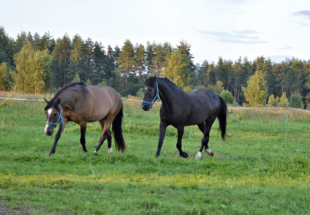 DSC_9327.JPG