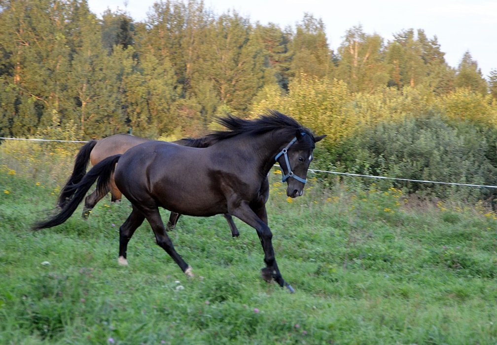DSC_9377.JPG