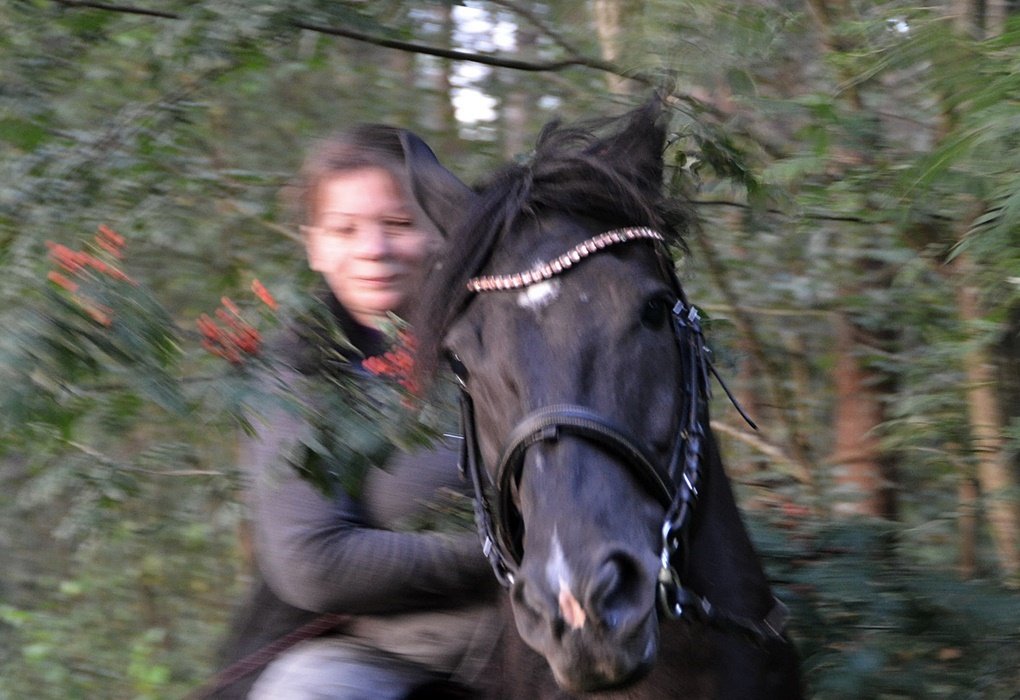 DSC_9528.JPG