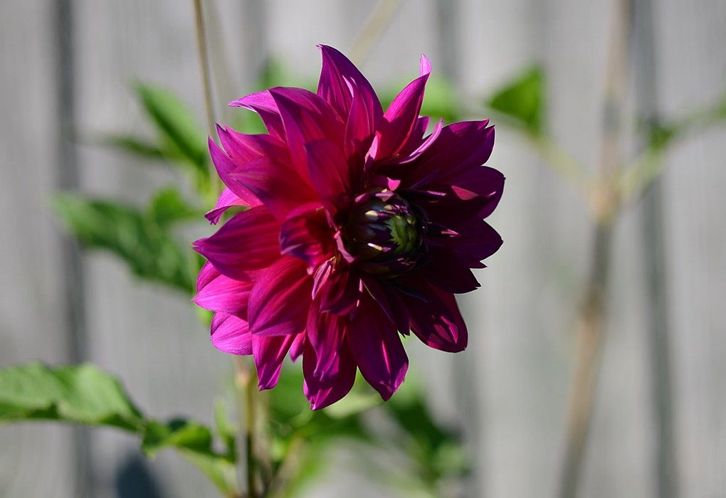 DSC_9557.JPG