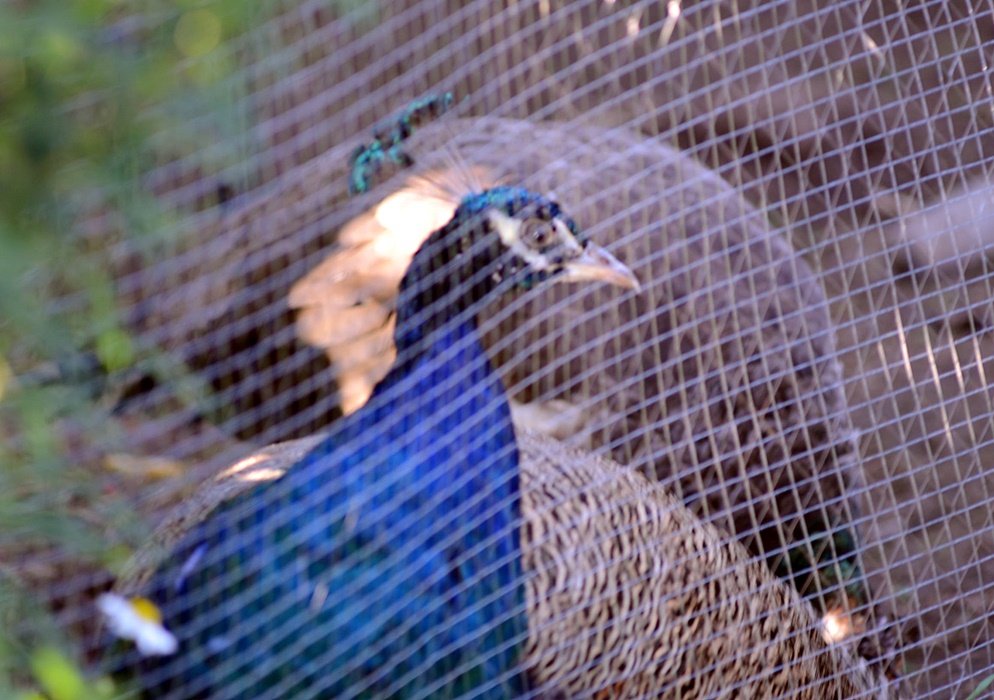 DSC_9564.JPG
