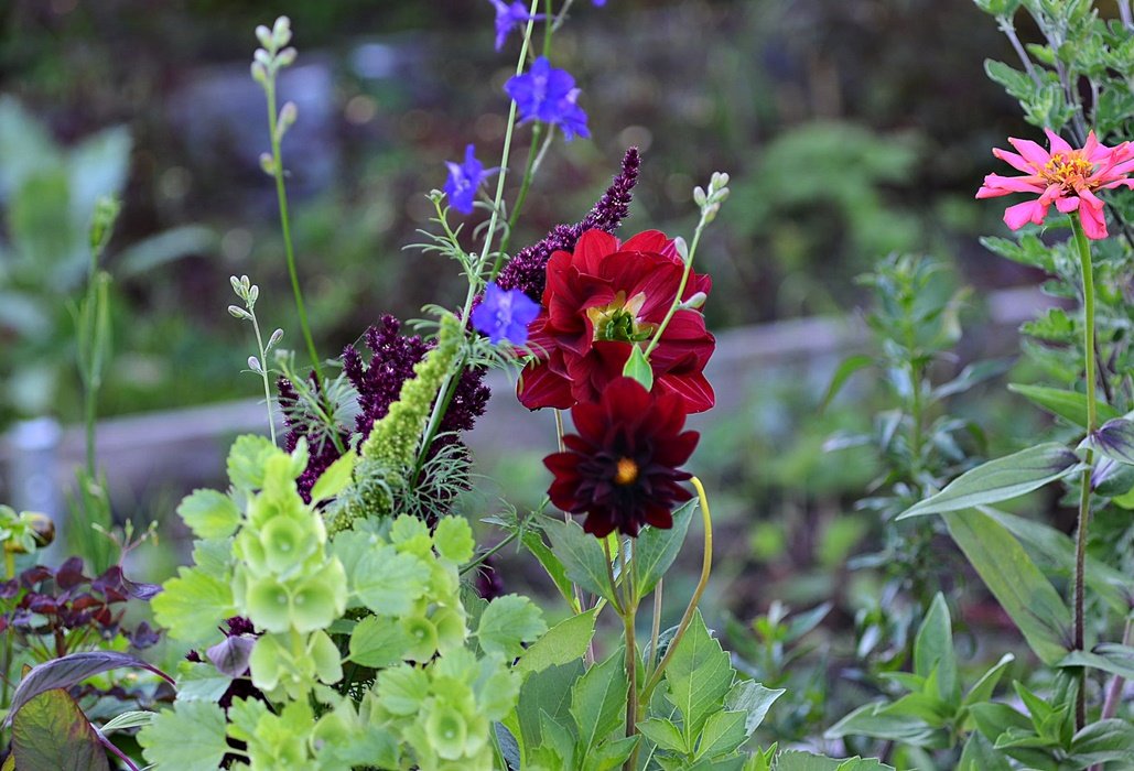 DSC_9586.JPG