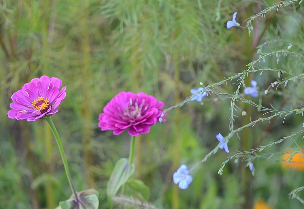 DSC_9593.JPG