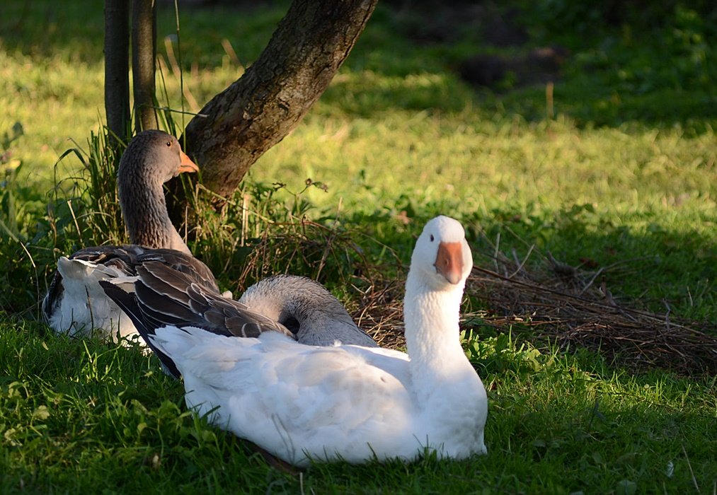 DSC_9622.JPG