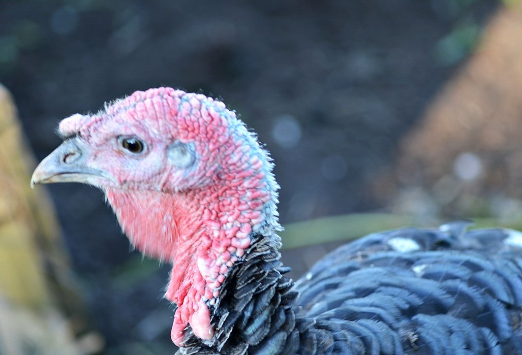DSC_9628.JPG