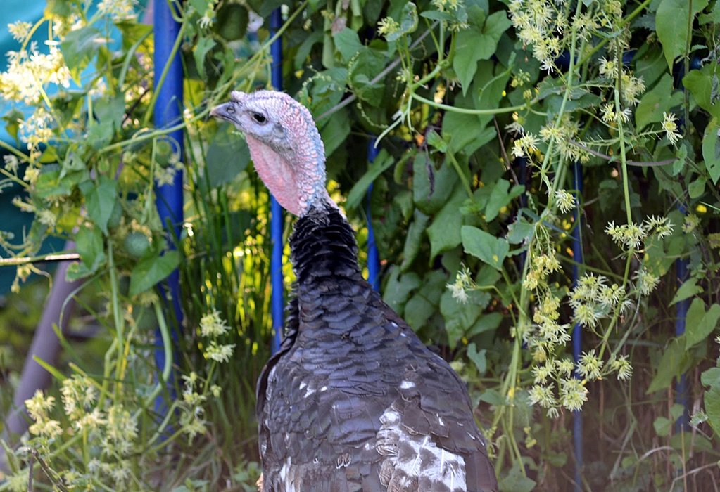 DSC_9647.JPG