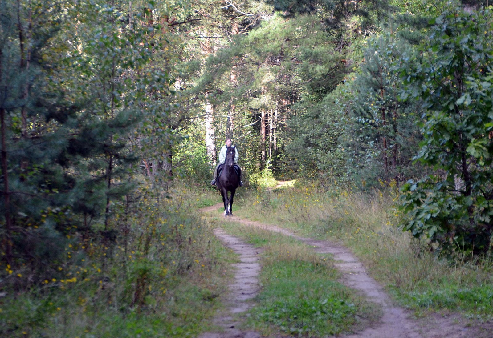 DSC_9702.JPG
