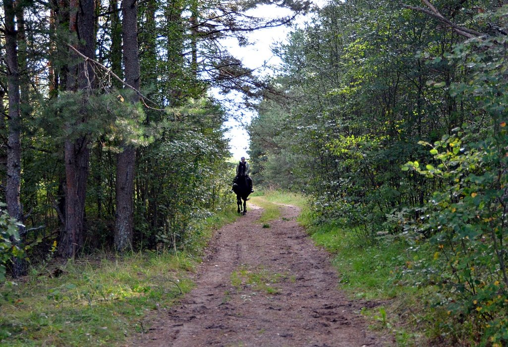 DSC_9718.JPG