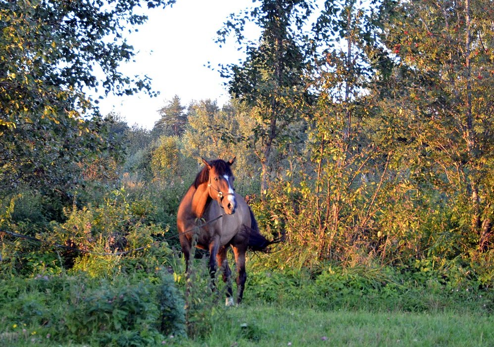 DSC_9812.JPG