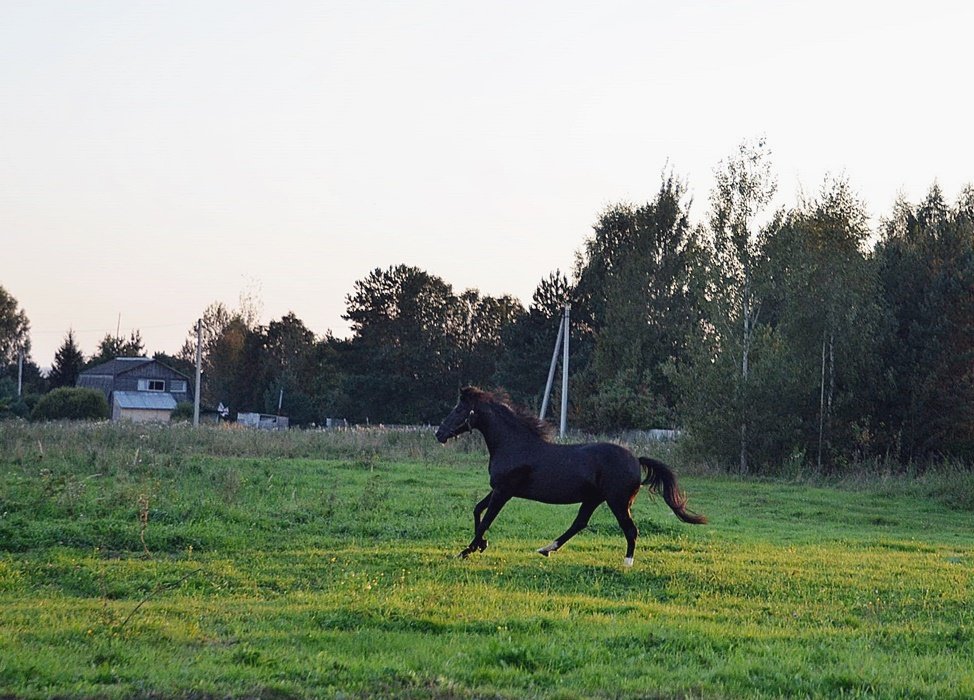 DSC_9837.JPG