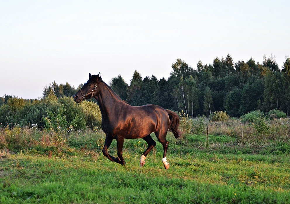 DSC_9842.JPG