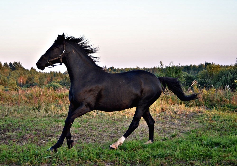 DSC_9843.JPG