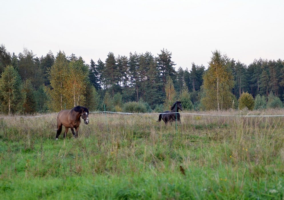 DSC_9850.JPG