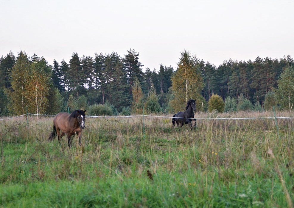 DSC_9851.JPG