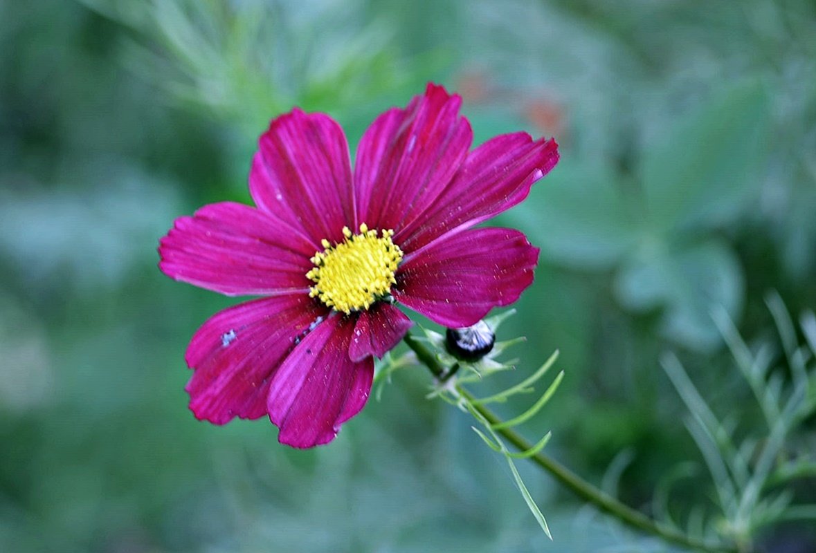 DSC_9870.JPG