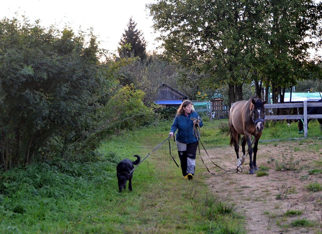 DSC_9972.JPG