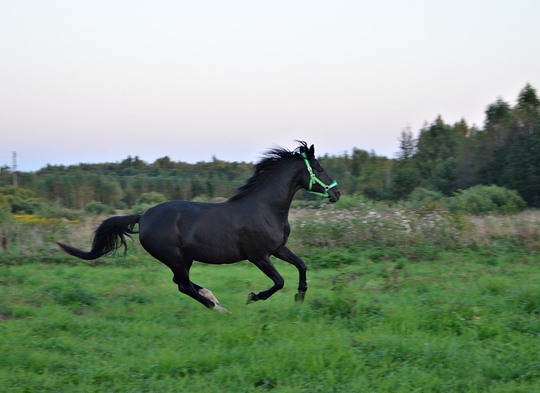 DSC_9990.JPG