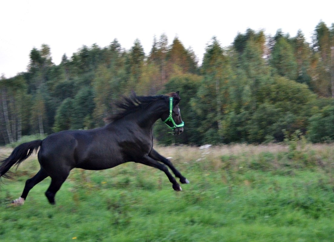 DSC_9991.JPG